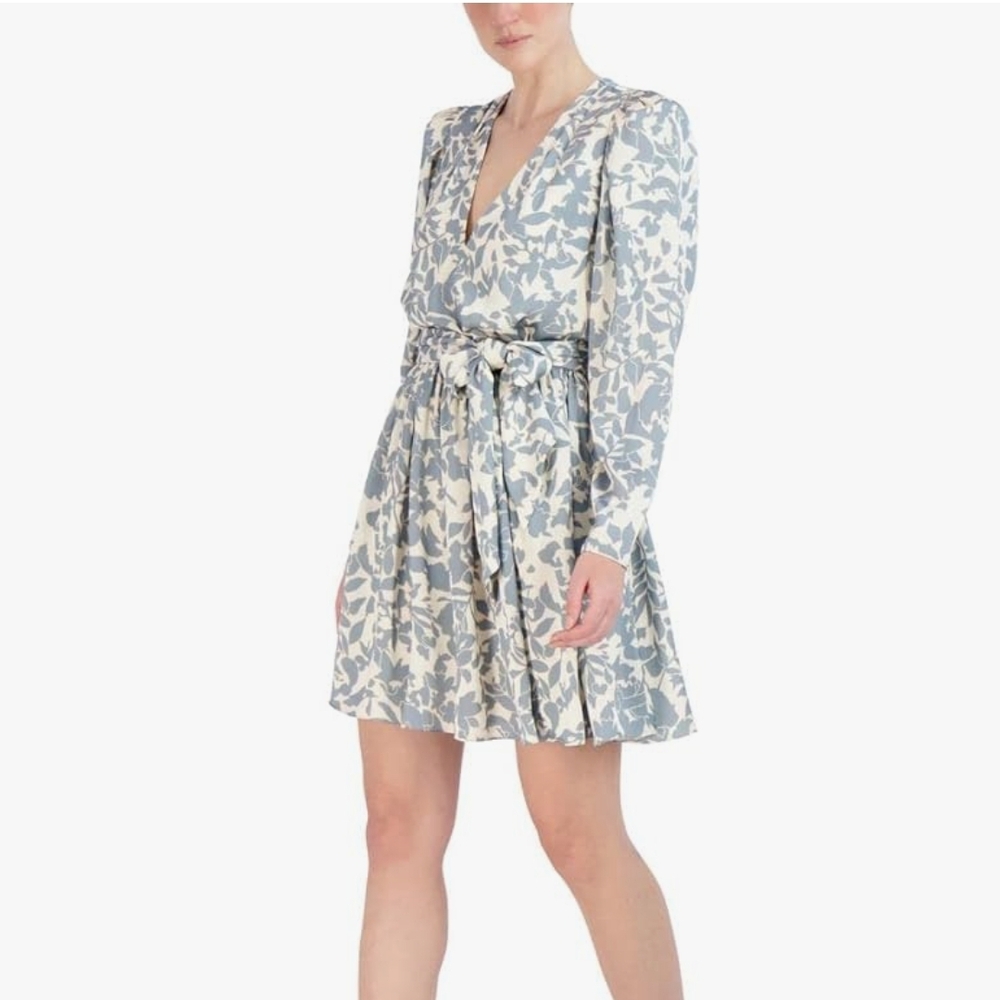 BCBG V-Neck Dress
